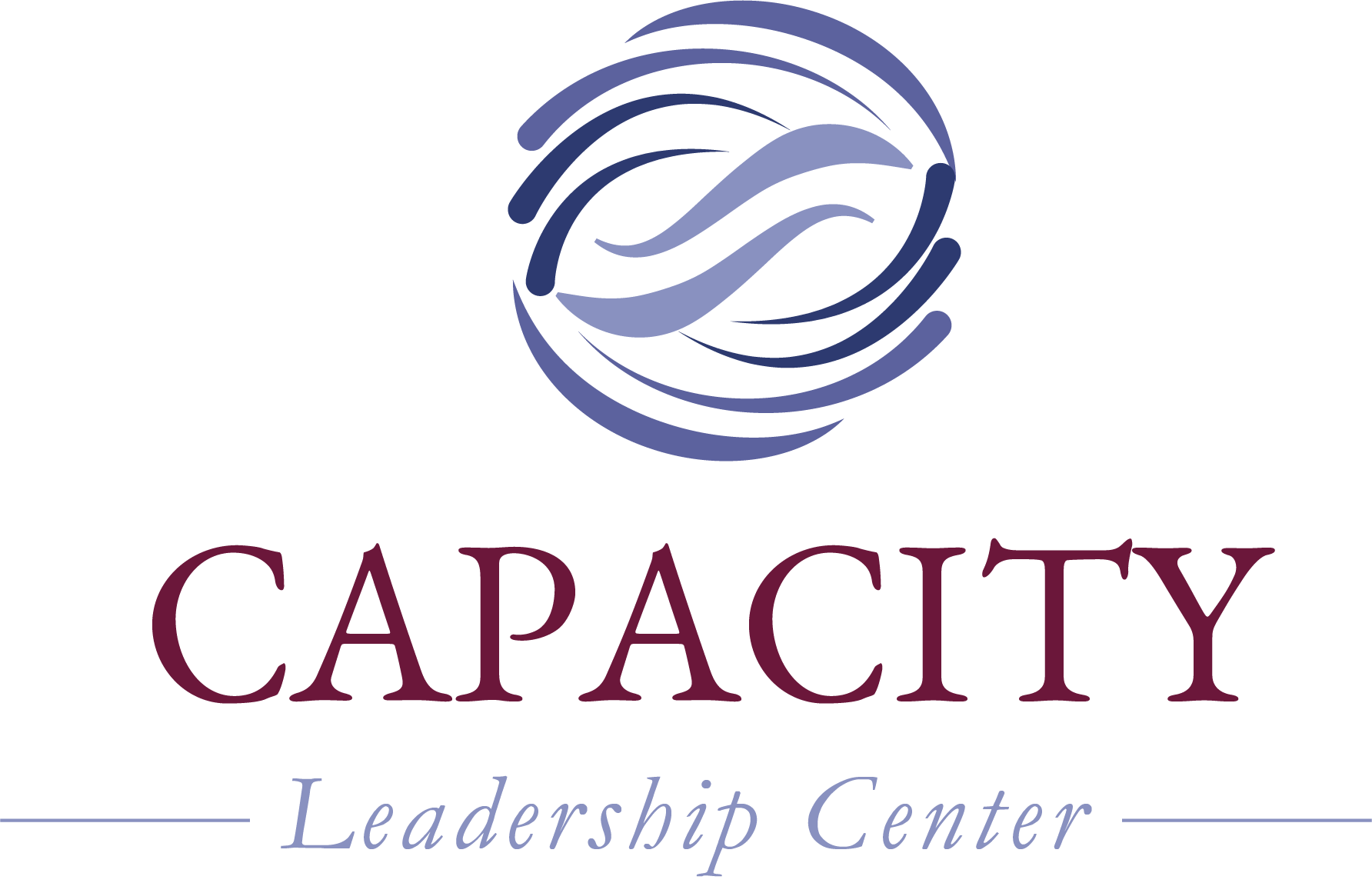 Capacity Leadership